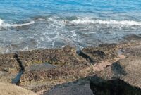 بندر لنگه؛ مروارید خلیج فارس